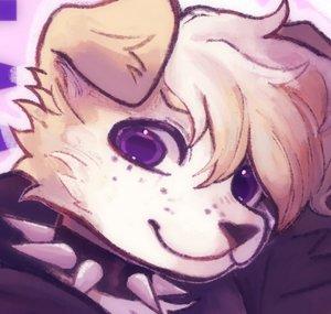 Kentakiwi