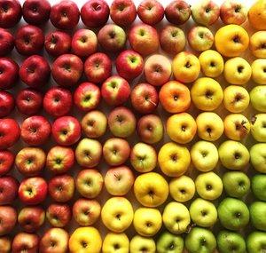 Oddly Satisfying Videos