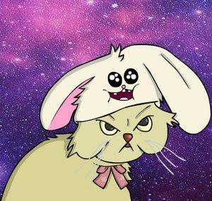rigo.asdasd