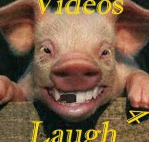 Videos for Laugh