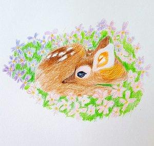 Dylan Gimenez Dessins