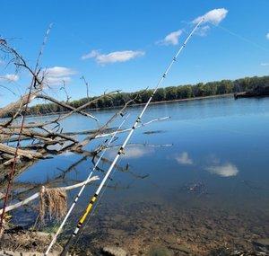 east vs west fishing