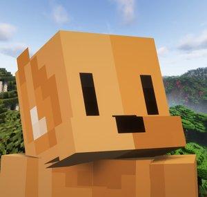 Kangawooo