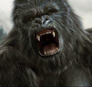 KingKong19100