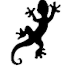 Lucky Salamander