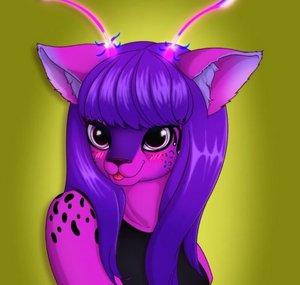 Lunacat