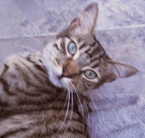 marly aventuras