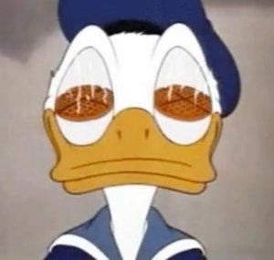 paperino