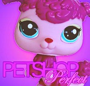 PetshopPerfect