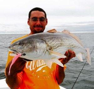 Sea-Money Fishing