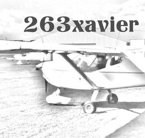 263xavier