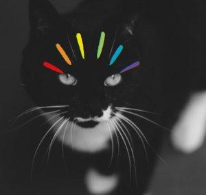 Jeb Whiskers