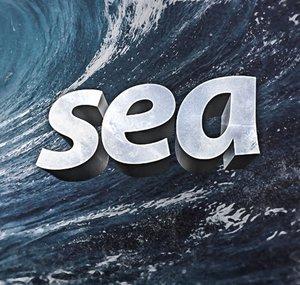 Sea Team