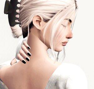shellsea