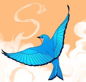 Skyver