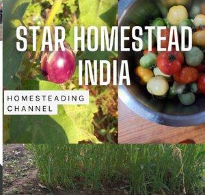 Star Homestead India