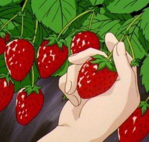 The Low Hanging Fruits