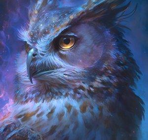 The Owl