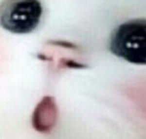 yukimaru24