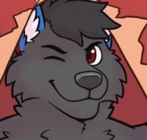 Chilothefox