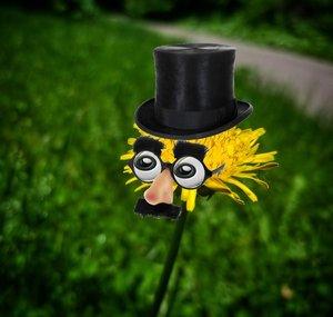 Dandelion Respawn