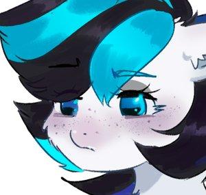 NikoSource