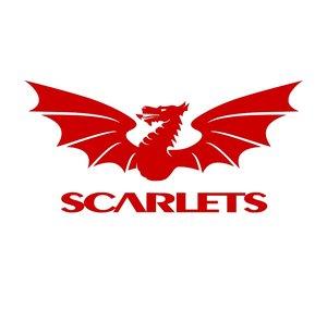 Scarlets Rugby