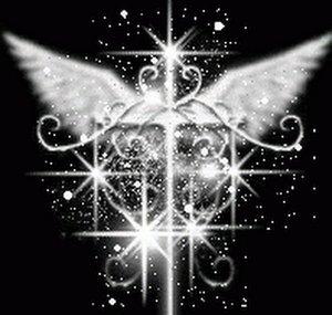 silentwings777