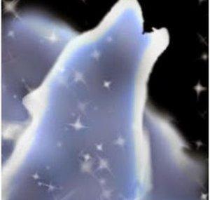 Story Wolf