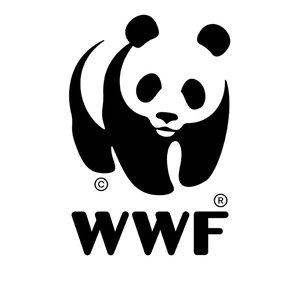 WWF Info