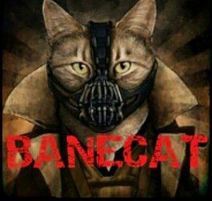 Banecat