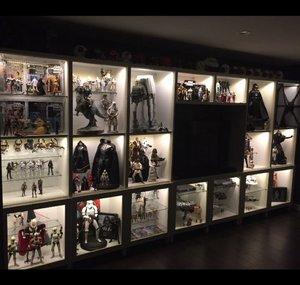 Evolution Collectibles
