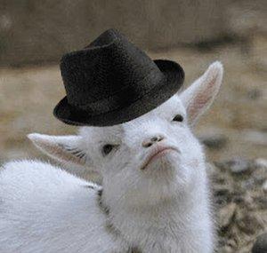 Goatie