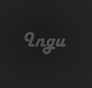 Ingu