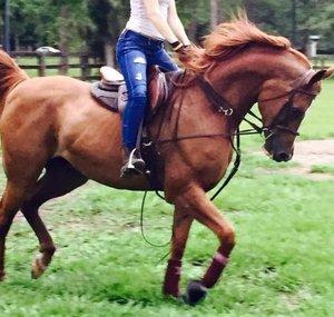 Lovemyarabian