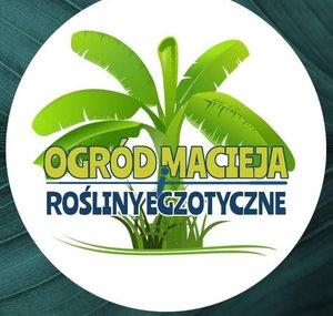 Ogród Macieja i Rośliny egzotyczne