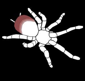 Tarantula Productions