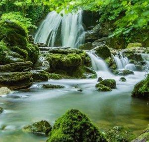 ASMR - Nature Sounds