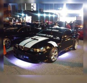 Black Knight Mustang(BKM)🐎