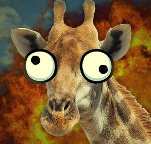 DavidJonRandom