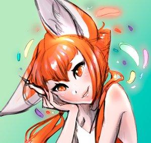 Feneko Amy