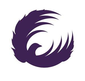 Queensland Firebirds