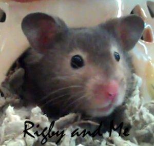 Rigby and Me