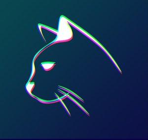 TheConfusedCat