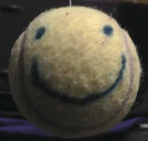 Timmy The Tennis Ball