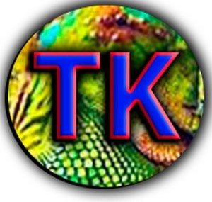TioKaMMa