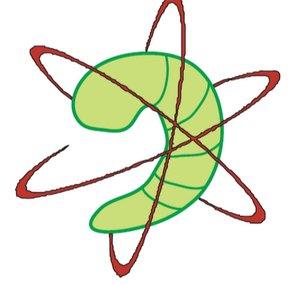 Atomic Shrimp