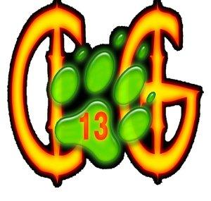 Cheetah13