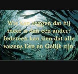 DesteniGeld