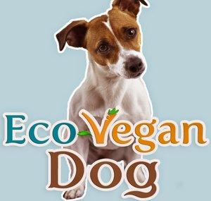 Eco-Vegan Dog